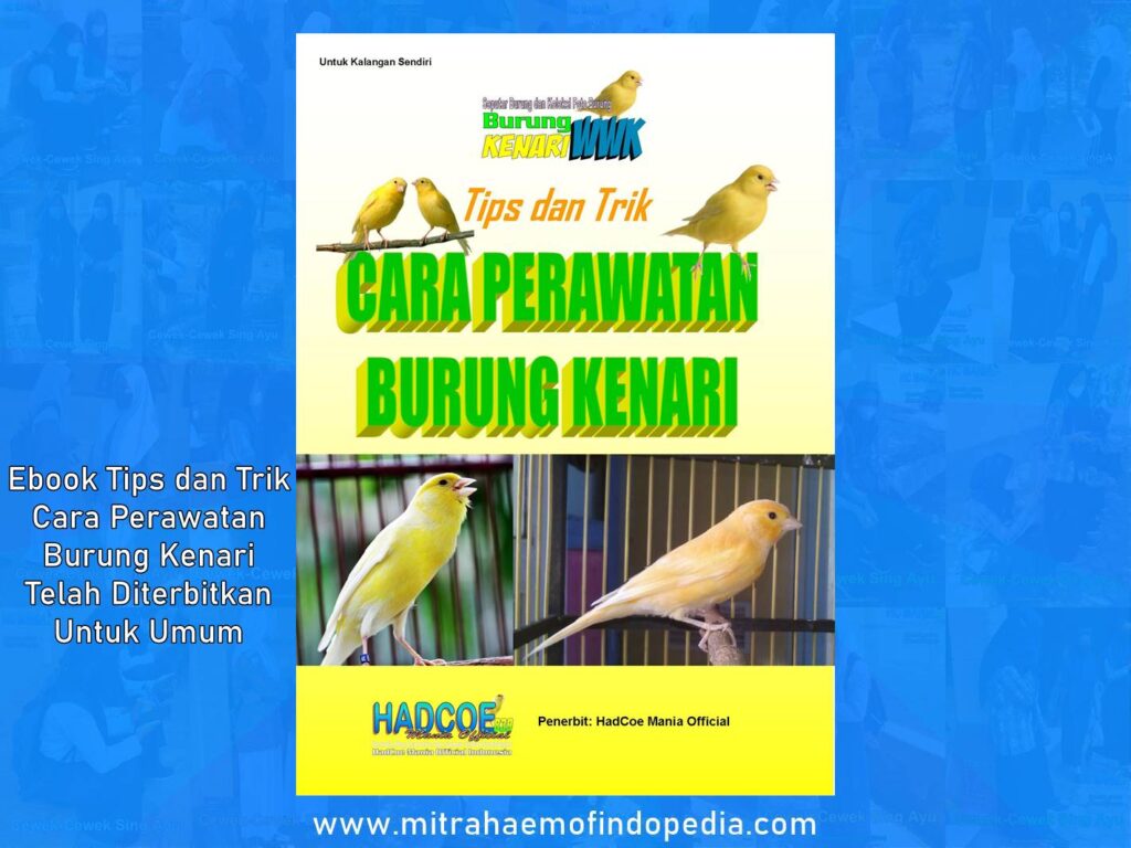 Ebook Tips dan Trik Cara Perawatan Burung Kenari Telah Diterbitkan Untuk Umum